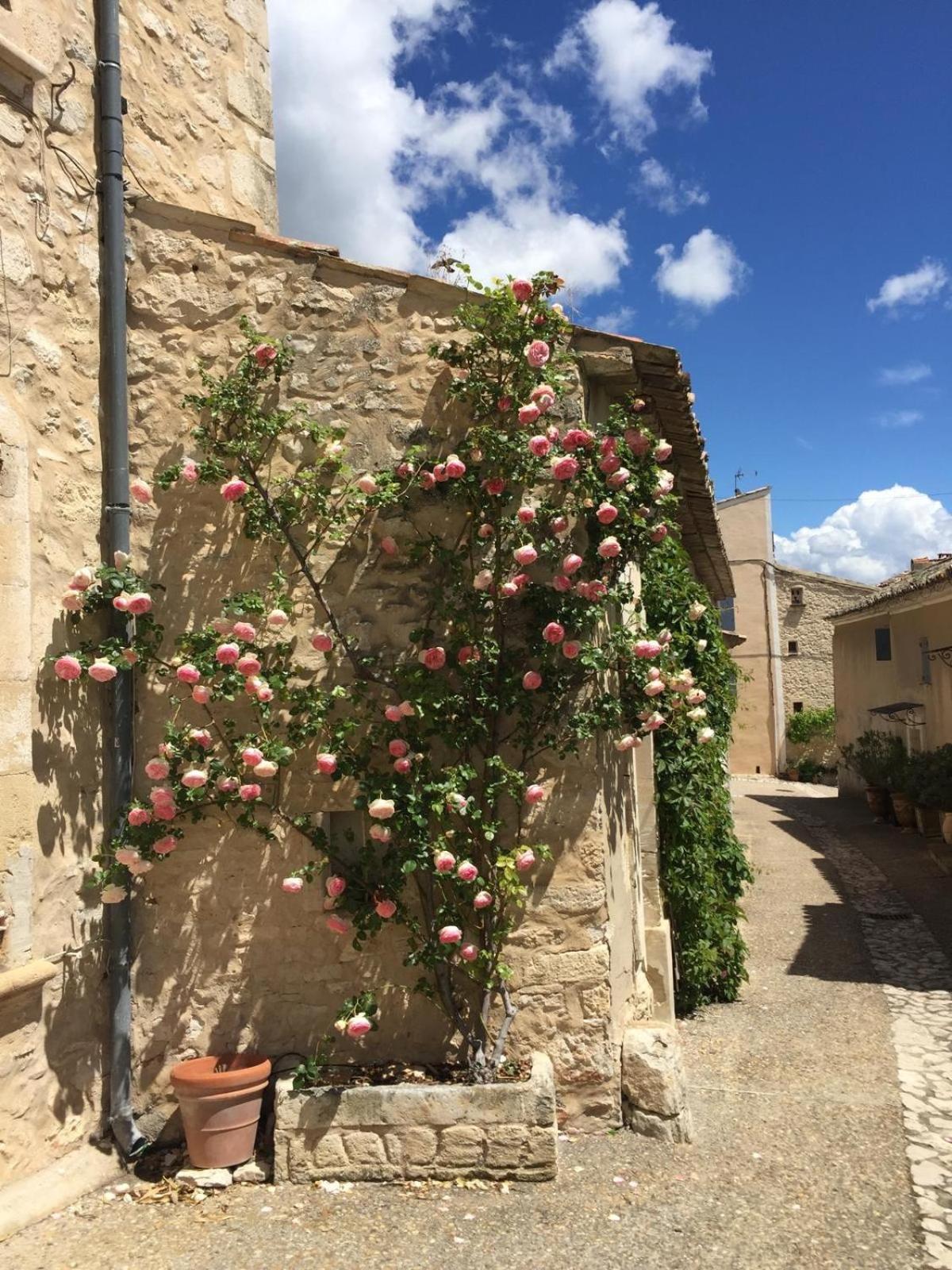 ז'וקה Lovely Views In Secret Provence מראה חיצוני תמונה
